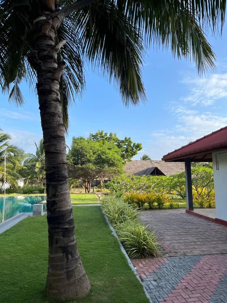 Nn Beach Resort & Spa Нілавелі Екстер'єр фото